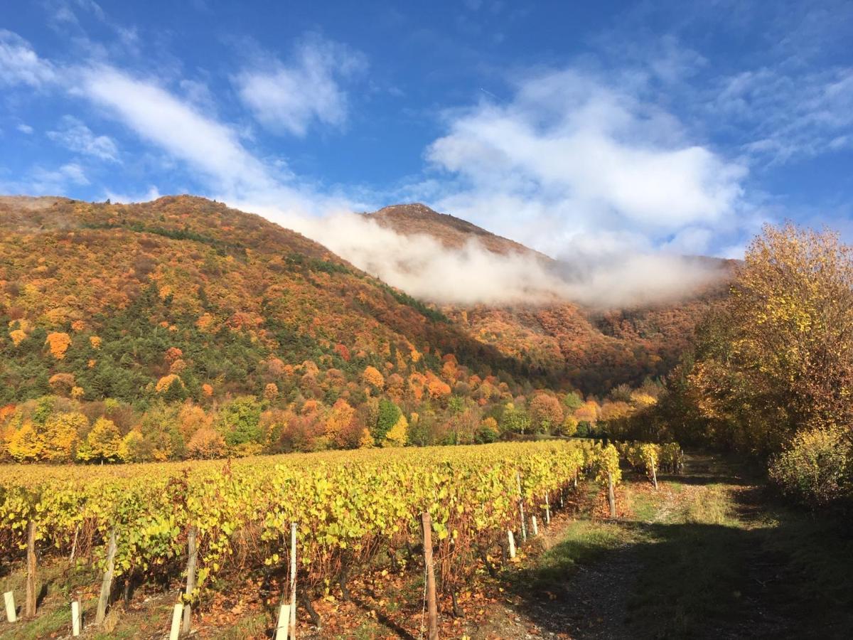 Bed and Breakfast la gravinette Cruet Esterno foto