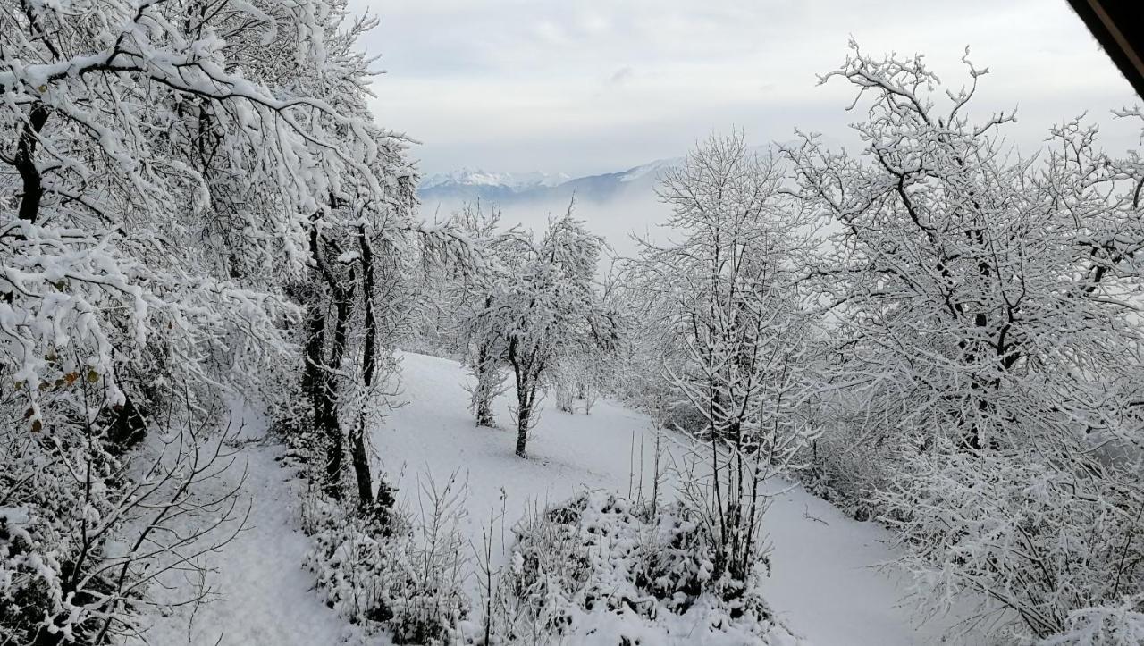 Bed and Breakfast la gravinette Cruet Esterno foto